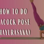 How to Do Peacock Pose (Mayurasana)
